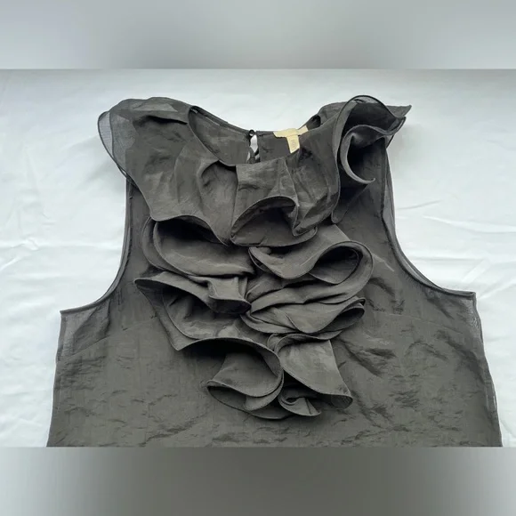 H&M | Sheer Ruffle Sleeveless Top - Picture 7 of 16